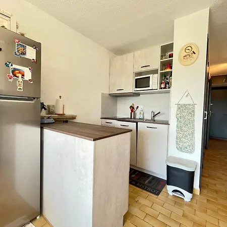Apartamento Lumineux Avec Cabine, Parking Prive, Pres De La - Fr-1-338-590